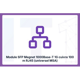 Megnet SFP module 1000Base-T universal MSA, RJ45 100 m
