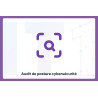 Cybersecurity Security Posture Audit