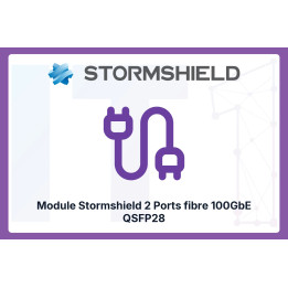 Stormshield 2-Port 100GbE QSFP28 Fiber Module | IT1 Connect