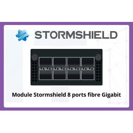 Module-Stormshield-8-ports-fibre-Gigabit-scaled.jpg [wc:34174bc4]