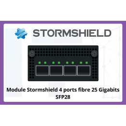 Module-dextension-Stormshield-4-ports-fibre-25-Gigabits-SFP28_page-0001-scaled.jpg [wc:33901ab6]