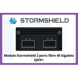 Module-dextension-Stormshield-4-ports-fibre-25-Gigabits-SFP28-1_page-0001-scaled.jpg [wc:a3b619ec]