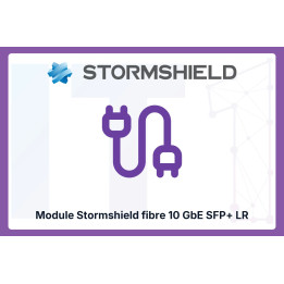 Stormshield 10 GbE SFP+ LR Fiber Module | IT1 Connect