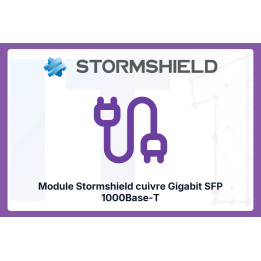 Stormshield Gigabit SFP 1000Base-T Copper Module | IT1 Connect